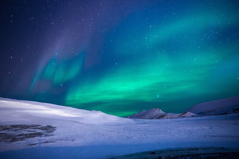 Aurora Dresses